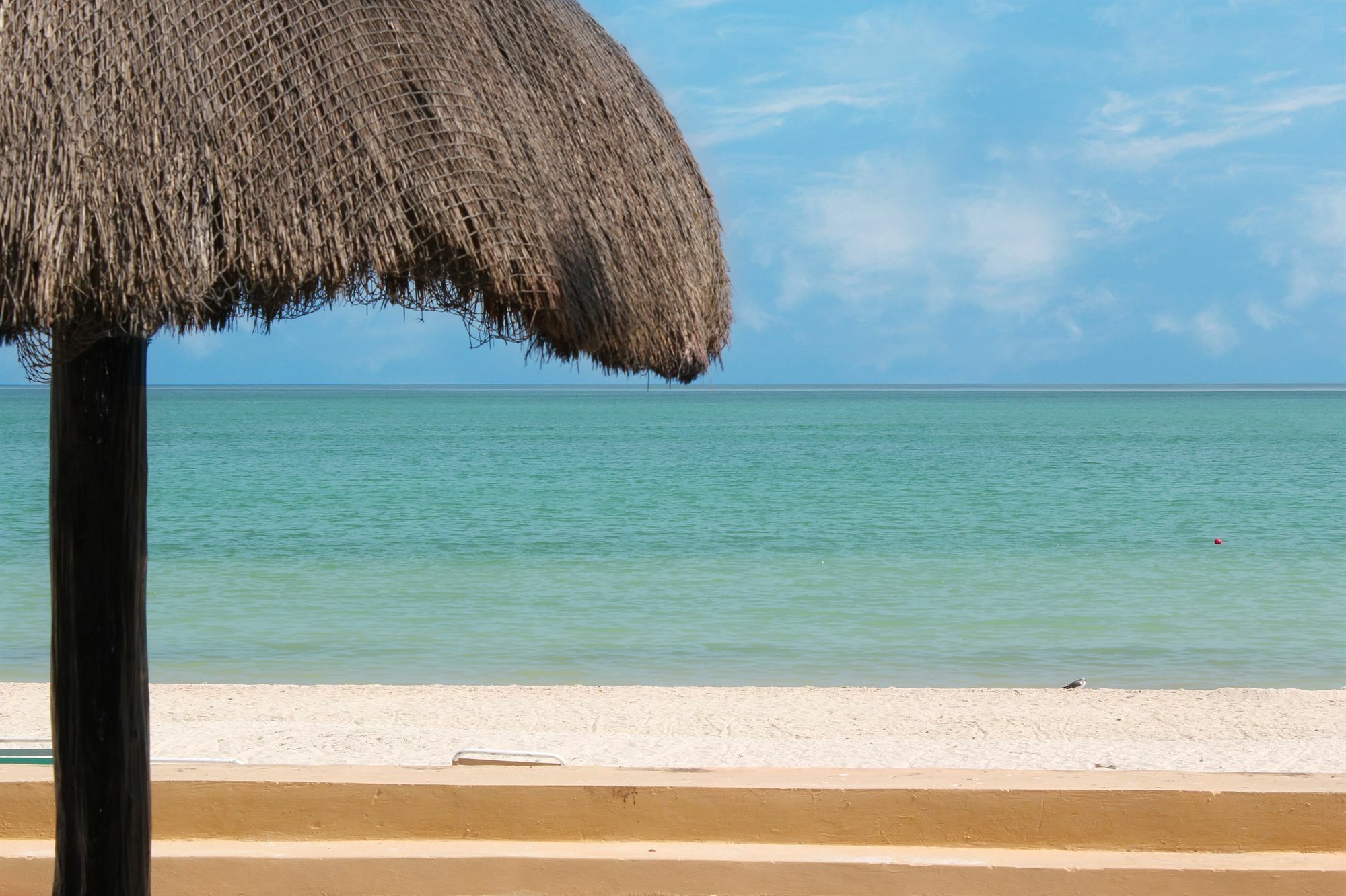 Reef Yucatan All Inclusive & Convention Center Mérida Zewnętrze zdjęcie